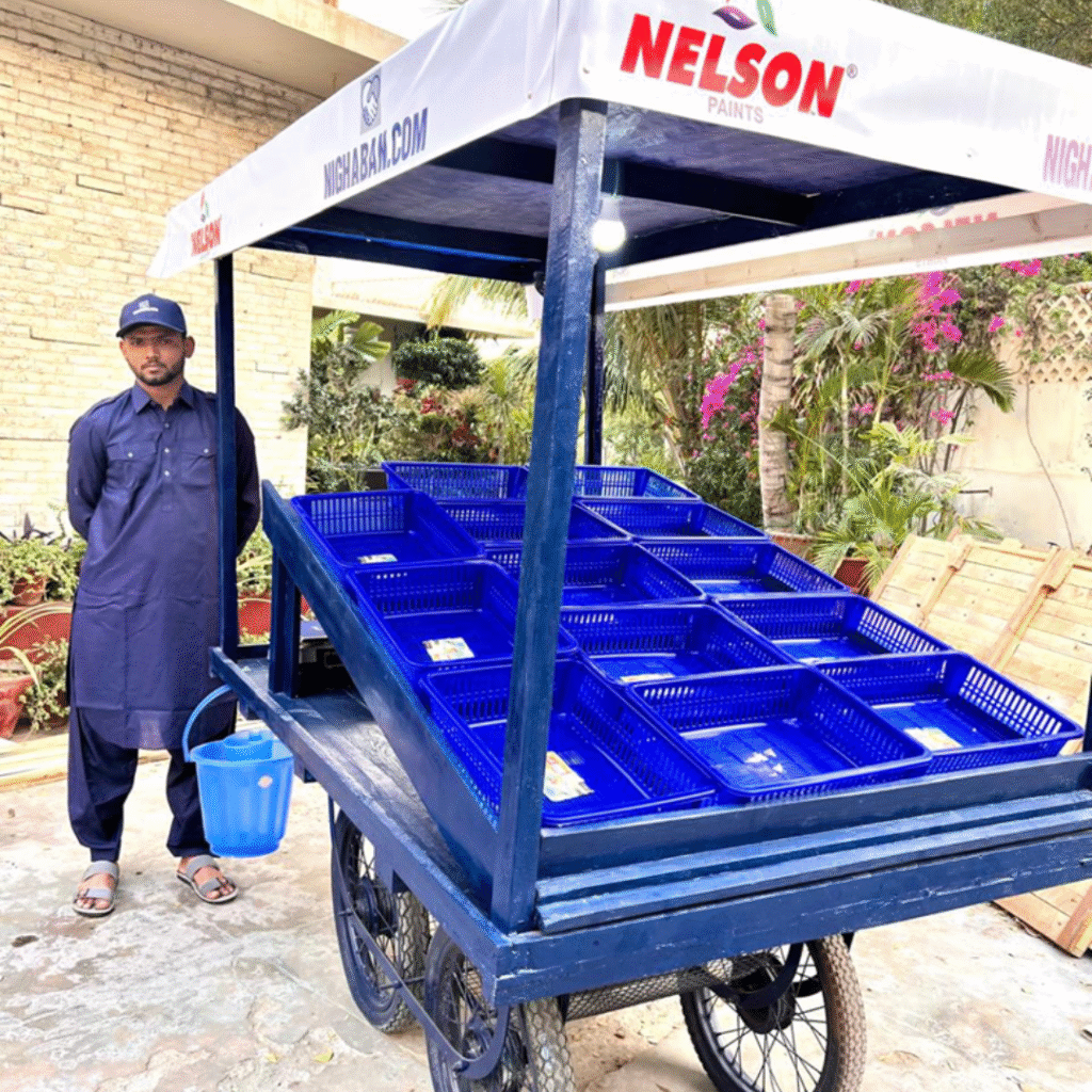 Untitled design (68)